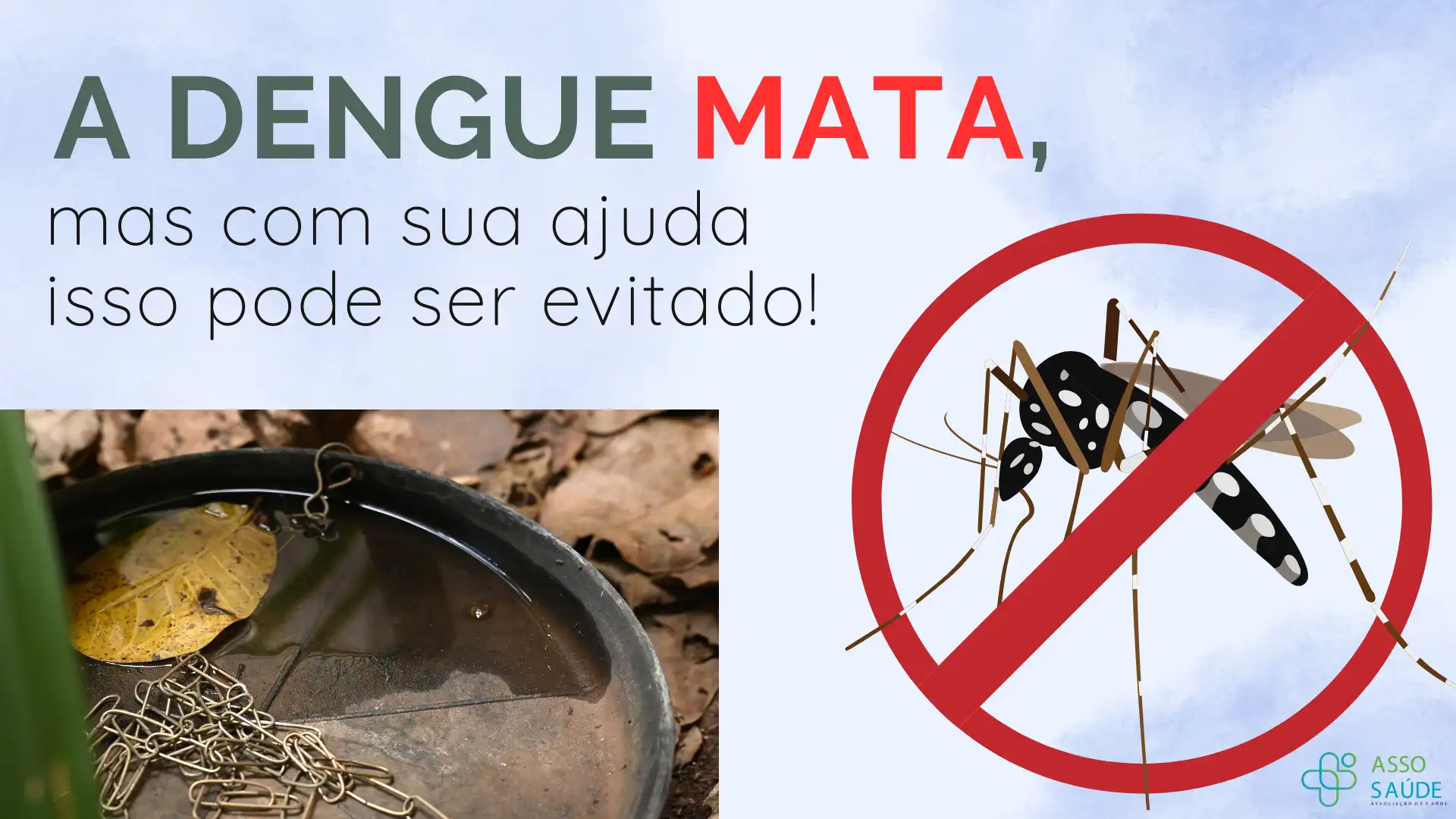 A dengue mata, mas com sua ajuda isso pode ser evitado!